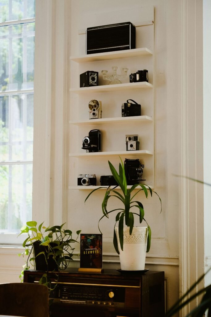 Wall-mounted shelves display vintage cameras, above a retro radio. Potted plants add greenery, while sunlight streams through a window, creating a nostalgic vibe.